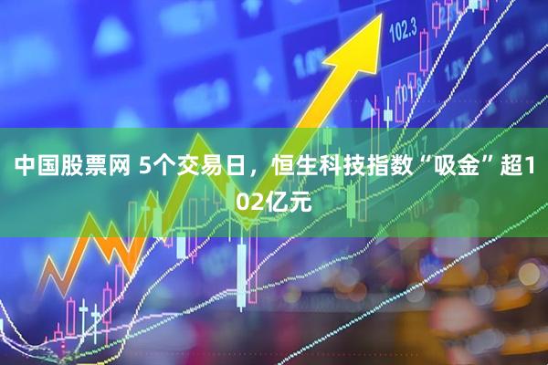 中国股票网 5个交易日，恒生科技指数“吸金”超102亿元